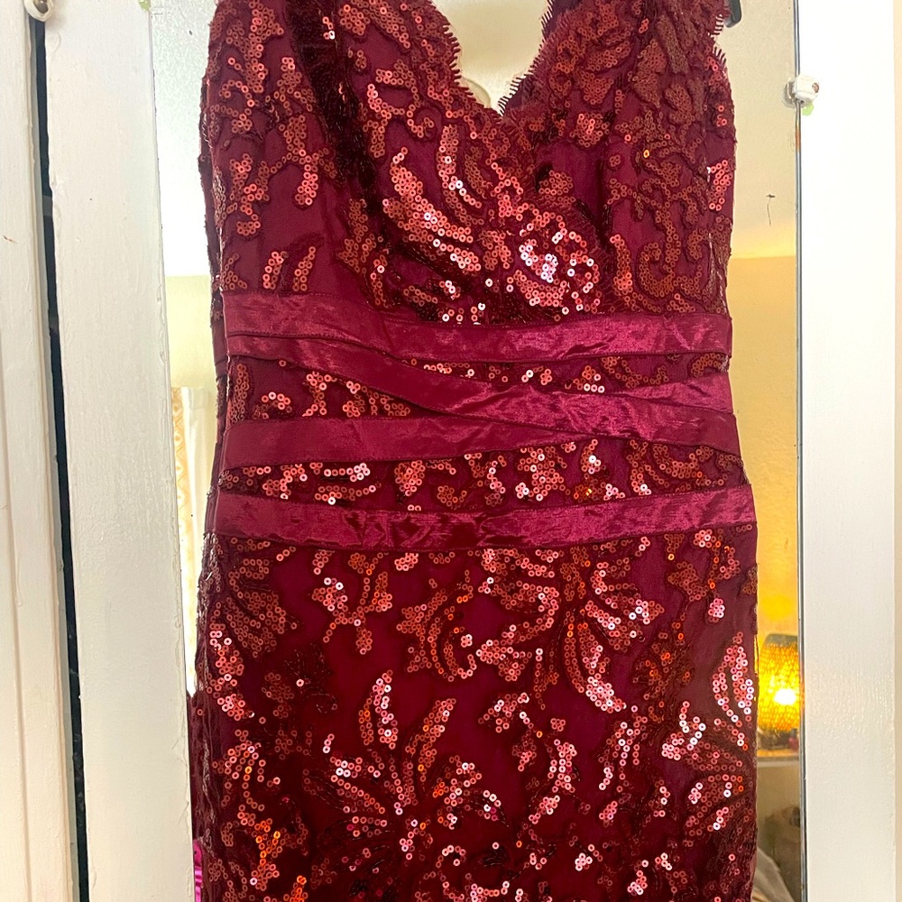 Tadashi shoji embroidered sequin lace banded dress